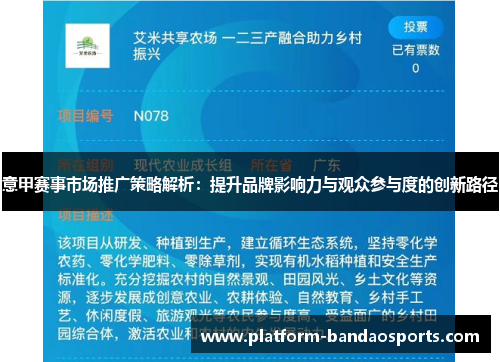 意甲赛事市场推广策略解析：提升品牌影响力与观众参与度的创新路径