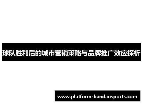 球队胜利后的城市营销策略与品牌推广效应探析