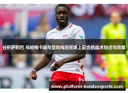 分析萨利巴 乌帕梅卡诺与楚阿梅尼在场上配合的战术特点与效果