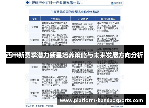 西甲新赛季潜力新星培养策略与未来发展方向分析