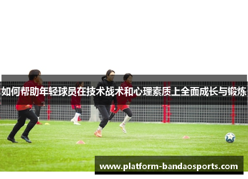如何帮助年轻球员在技术战术和心理素质上全面成长与锻炼
