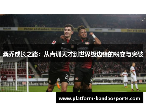 桑乔成长之路：从青训天才到世界级边锋的蜕变与突破