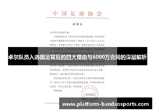 卓尔队员入选国足背后的四大理由与6000万合同的深层解析