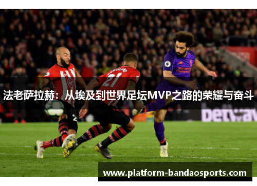 法老萨拉赫：从埃及到世界足坛MVP之路的荣耀与奋斗