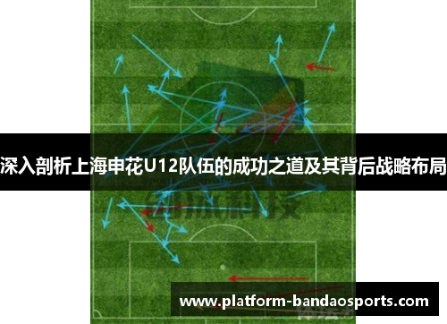 深入剖析上海申花U12队伍的成功之道及其背后战略布局