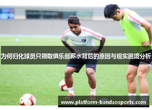 为何归化球员只领取俱乐部薪水背后的原因与现实困境分析