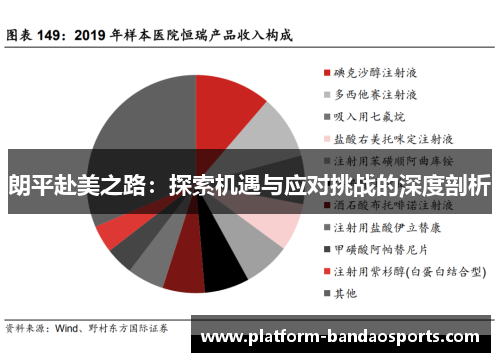 朗平赴美之路：探索机遇与应对挑战的深度剖析