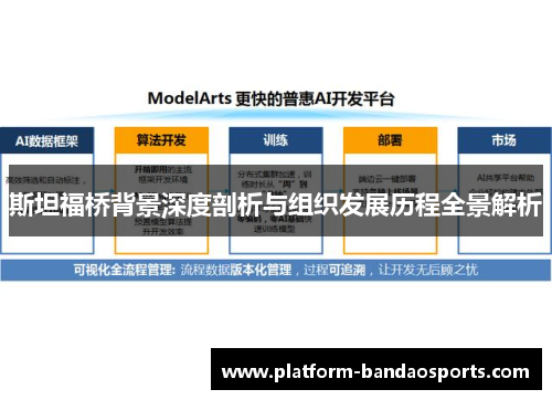 斯坦福桥背景深度剖析与组织发展历程全景解析