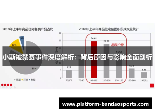 小斯被禁赛事件深度解析：背后原因与影响全面剖析
