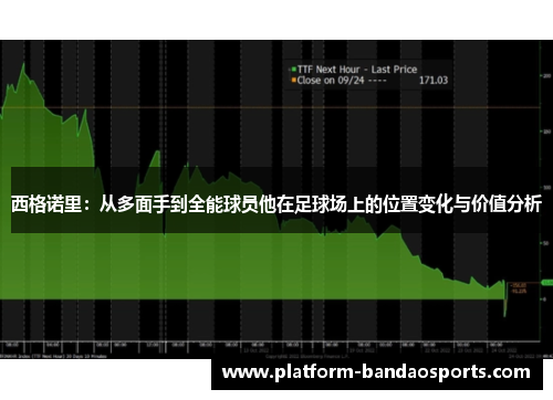 西格诺里：从多面手到全能球员他在足球场上的位置变化与价值分析