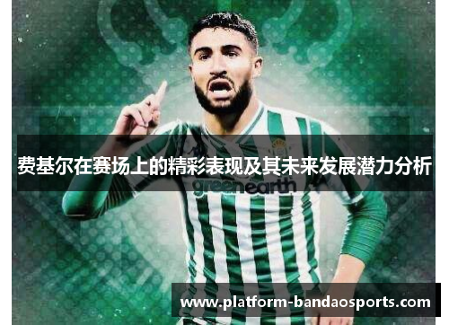 费基尔在赛场上的精彩表现及其未来发展潜力分析