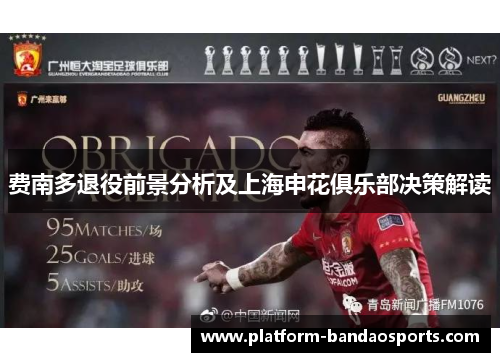 费南多退役前景分析及上海申花俱乐部决策解读