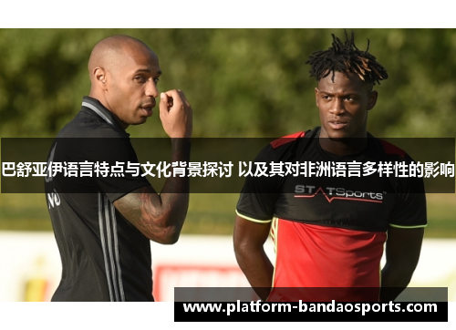 巴舒亚伊语言特点与文化背景探讨 以及其对非洲语言多样性的影响