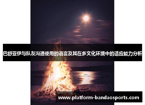 巴舒亚伊与队友沟通使用的语言及其在多文化环境中的适应能力分析